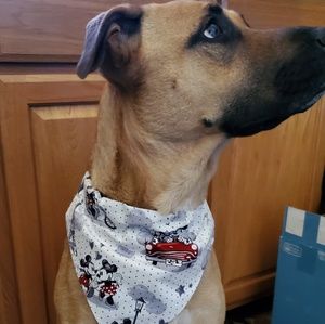 Meet your Posher, Brittney